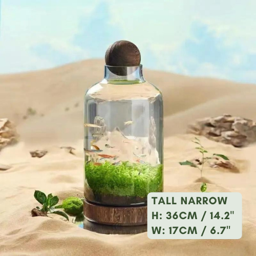 Aquaponic Terrarium Fish Tank With Plant Kit (Seeds + Soil Included)